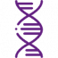Icon Dna